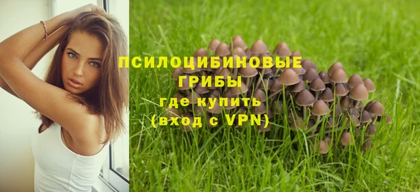 MESCALINE Бородино