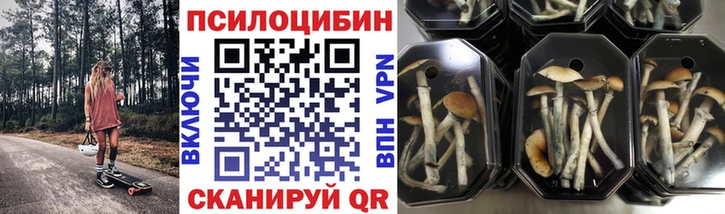 кракен вход  Химки  Псилоцибиновые грибы Psilocybe 